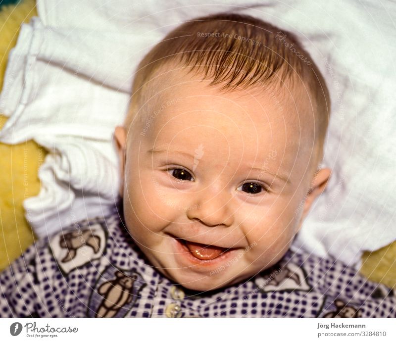 baby lying on a lambskin smiles Joy Happy Baby Boy (child) Smiling Soft Birth Born Expression glance Lie (Untruth) tongue Colour photo Day