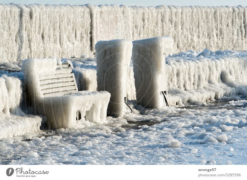 Winter at sea II Baltic Sea Island Rügen Sassnitz Germany Europe Small Town Deserted Harbour Cold Maritime Brown Gray White Ice Icicle Ice sheet Frozen Mole