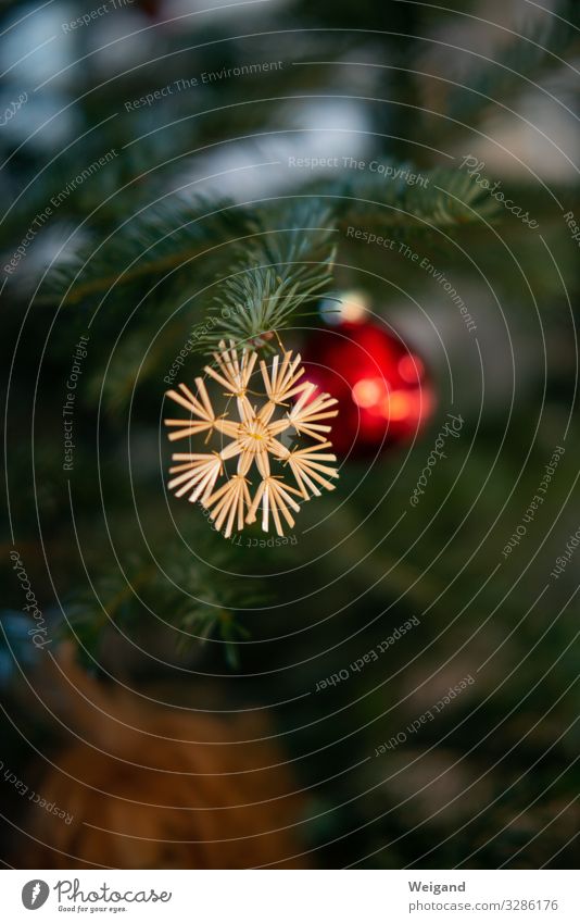 Christmas tree Christmas & Advent Sign Laughter Illuminate Humanity Solidarity To console Grateful Nostalgia straw star Straw Colour photo Interior shot