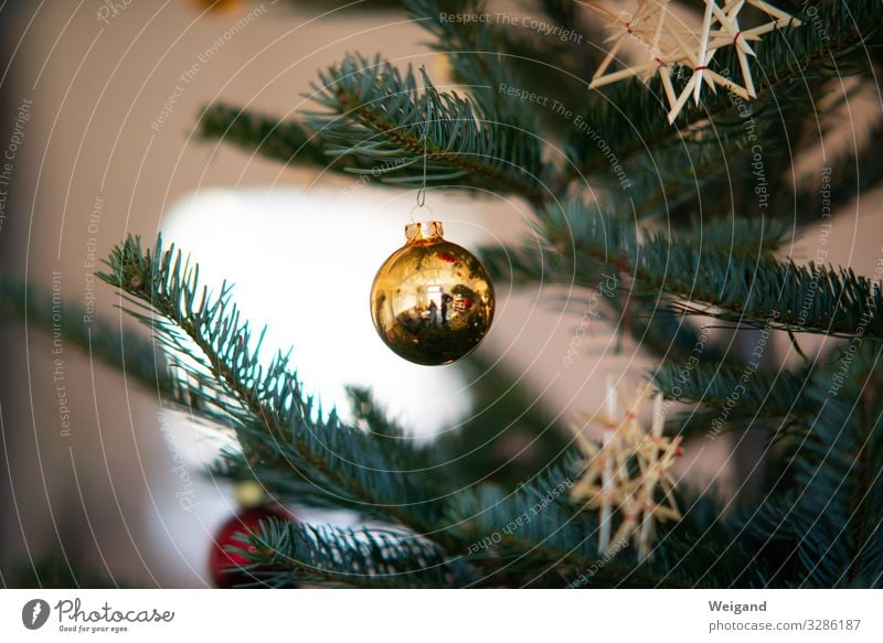 bullet Contentment Relaxation Christmas & Advent Illuminate Sphere Round Glitter Ball Christmas tree Interior shot