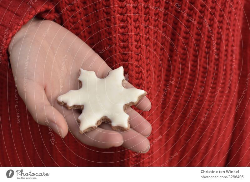 female hand holding a white Christmas cookie in snowflake form; red knitted sweater as background Food Dough Baked goods Candy Cookie Christmas biscuit