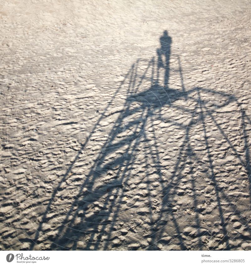 top of the beach Masculine Man Adults 1 Human being Sand Autumn Beautiful weather Beach Baltic Sea Scaffold Scaffolding Steel Line Stripe Stand Tall Above