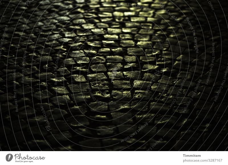 Evening light on cobblestones Paving stone Light conceit golden Close-up Stone Deserted Street Cobblestones Shadow