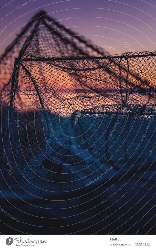 Old fishing net on the beach Leisure and hobbies Fishing (Angle) Vacation & Travel Net Fishing net Fish trap Coast Maritime Nostalgia Fishery Colour photo