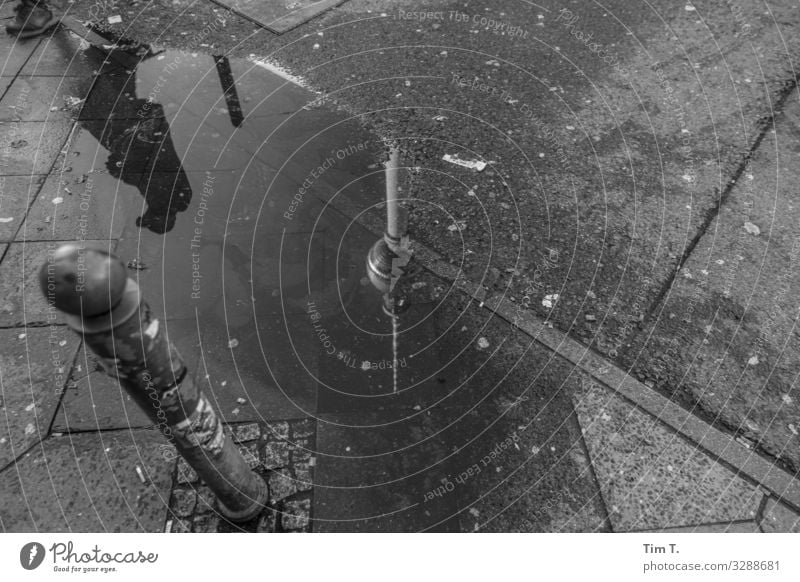 Berlin Downtown Berlin Town Capital city Television tower Society Puddle Reflection Sidewalk Bollard Black & white photo Exterior shot Day