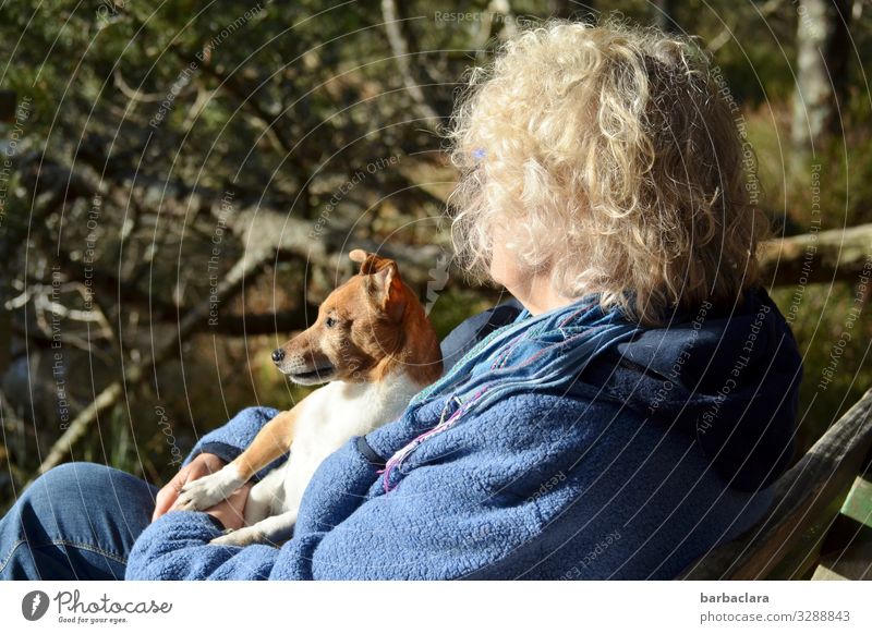 Enjoy the sun Woman Dog Nature Sunlight Spring Spring fever Exterior shot Curl