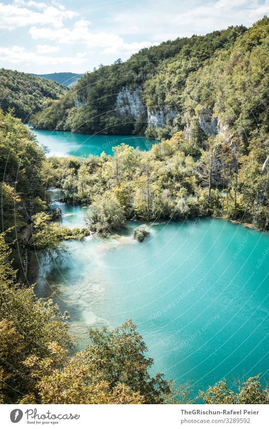 Plitvice Lakes Nature Landscape Blue Green Turquoise Croatia Winnetou National Park Tree Vantage point Vacation & Travel Tourism Forest Sky Colour photo