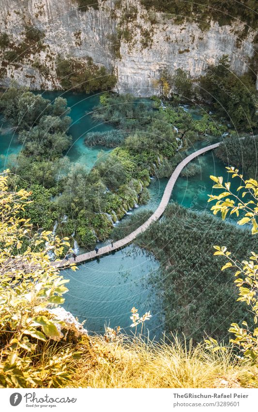 Plitvice Lakes Nature Blue Green Turquoise Tree Footbridge Water National Park Rock Bushes Croatia Vacation & Travel Travel photography Colour photo