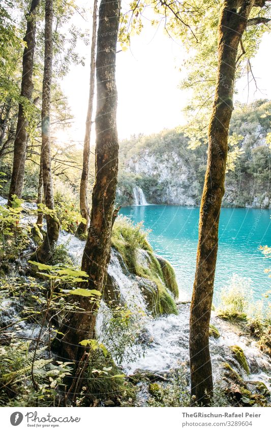 Plitvice Lakes Environment Nature Blue Black Turquoise Back-light Sunset Moody Water Waterfall Tree Rock Croatia National Park Colour photo Exterior shot