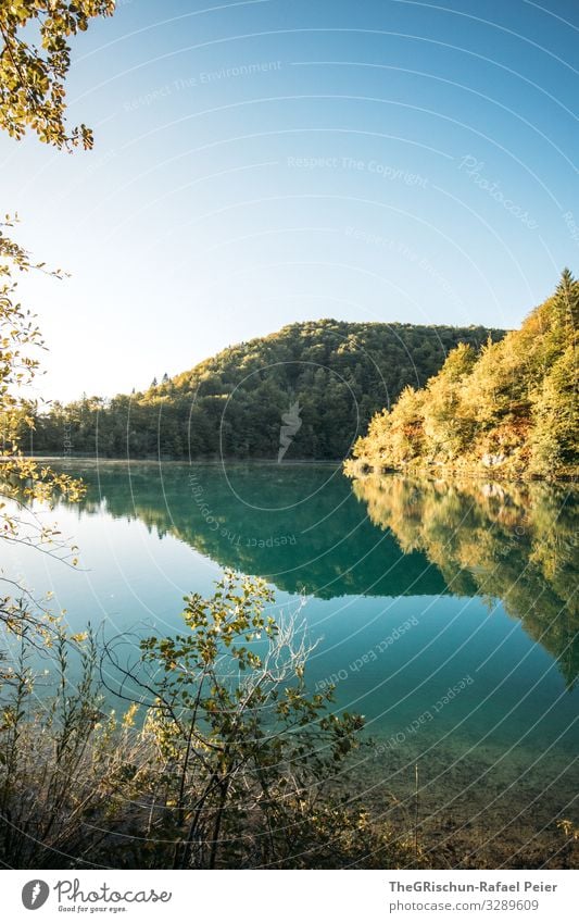 Plitvice Lakes Environment Nature Blue Turquoise Tree National Park Hiking Sky Croatia Reflection Sunrise Vacation & Travel Travel photography Colour photo