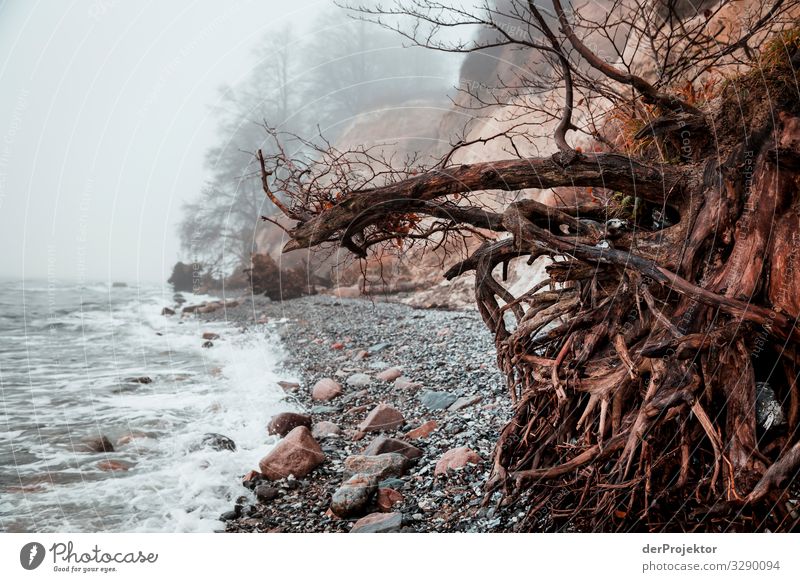 Chalk cliffs in winter on Rügen II Panorama (View) Central perspective Shallow depth of field Contrast Copy Space middle Day Light Shadow Copy Space bottom