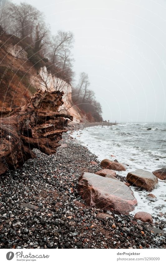 Chalk cliffs in winter on Rügen III Panorama (View) Central perspective Shallow depth of field Contrast Copy Space middle Day Light Shadow Copy Space bottom