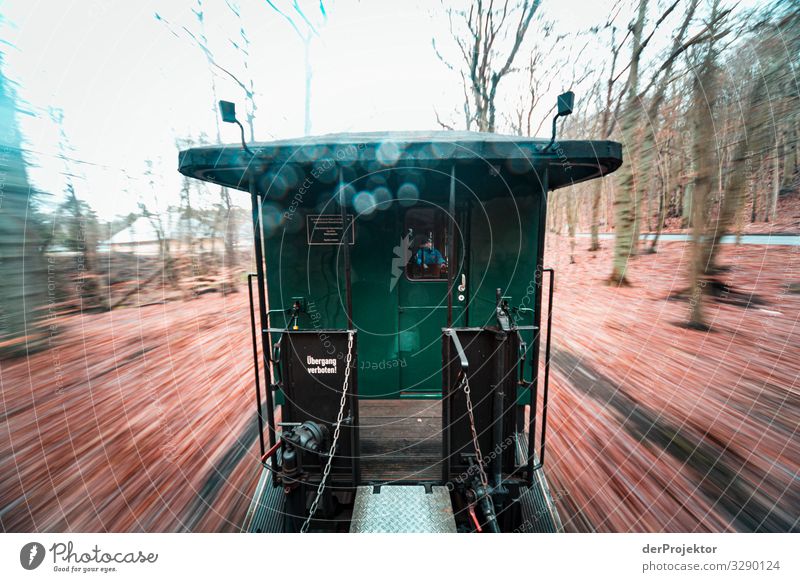 Raging Roland on Rügen in winter Vacation & Travel Tourism Trip Adventure Far-off places Freedom Transport Means of transport Traffic infrastructure