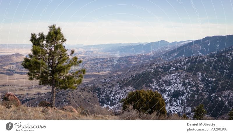 Rocky Mountains Sunset Views While Exploring Nature Landscape Plant Earth Sky Clouds Horizon Sunrise Sunlight Spring Summer Autumn Beautiful weather Tree Grass