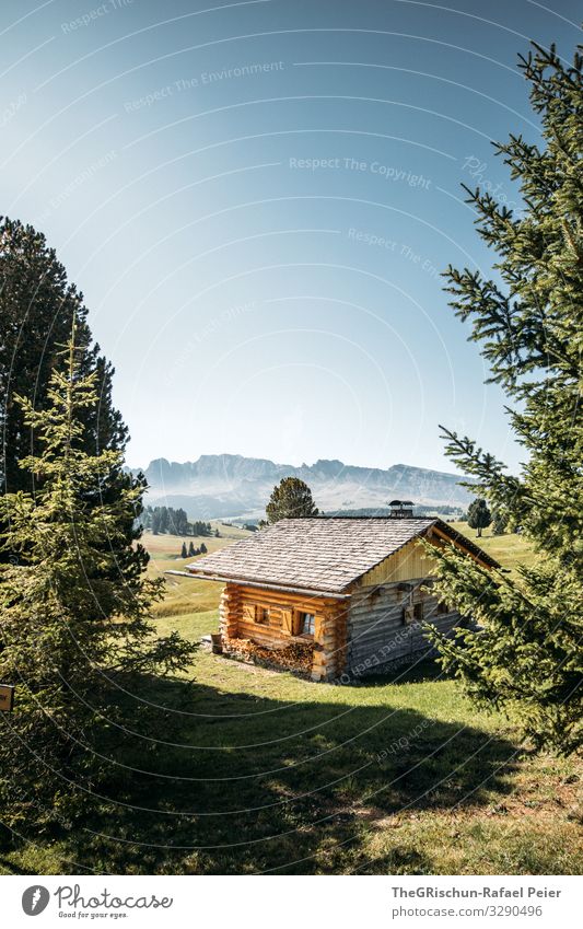 Alpe di Suisi - Alpe di Siusi Nature Landscape Blue Brown Gray Green Black Hut Seiser Alm Tree Mountain Calm Private Loneliness Shadow Light Wood Alps