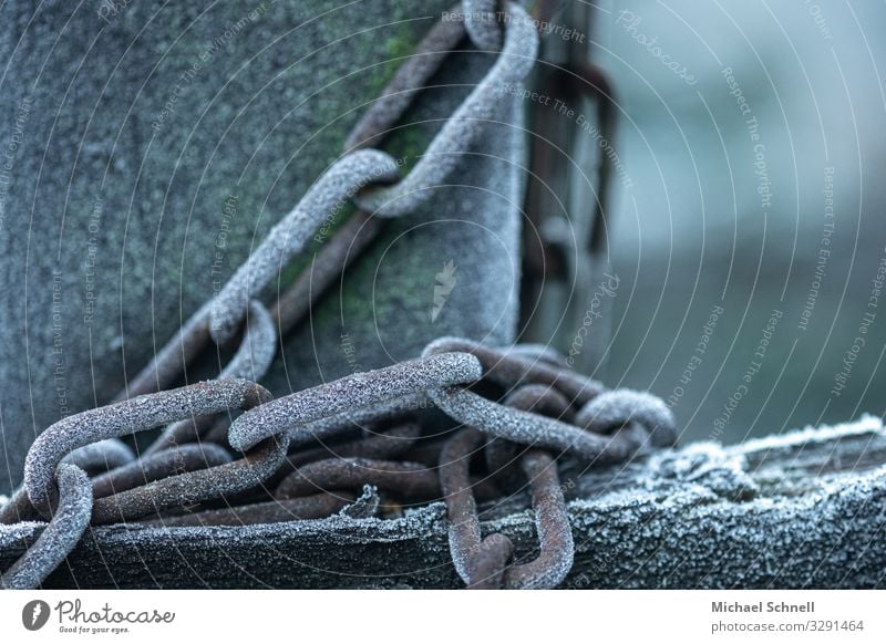 Frosty Chain Cold Inhibition Captured Chained up Colour photo Exterior shot Close-up Deserted Copy Space right Shallow depth of field