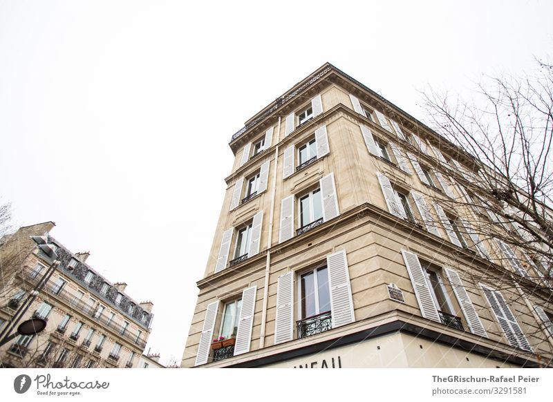 house Town Capital city Brown White Paris Architecture Manmade structures House (Residential Structure) Window Tree France Colour photo Copy Space top Day Light