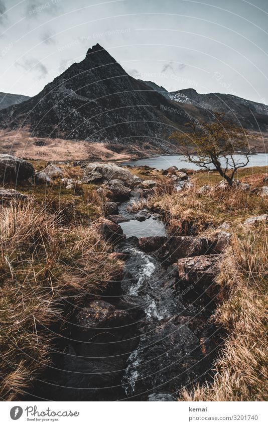 The mountain Tryfan Wales Great Britain Snowdonia rock Brook Water Stone Landscape Rough Nature Rock Day Sky Elements Flow somber conceit Panorama (View) Peak