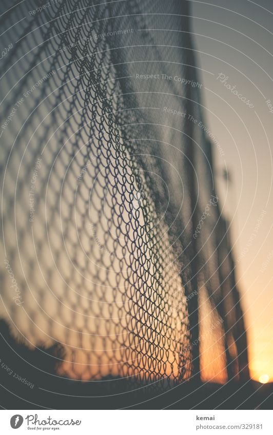 End of a summer day Sunrise Sunset Warmth Fence Wire netting fence Metal Moody Warm-heartedness Colour photo Subdued colour Exterior shot Deserted Evening