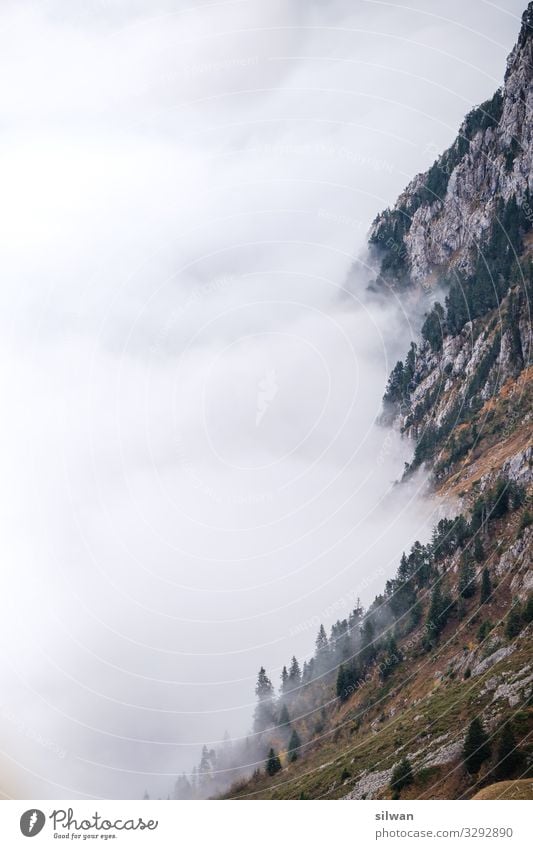 Fog on the rock face Trip Adventure Mountain Hiking Nature Landscape Autumn Rock Alps Touch Old Esthetic Gigantic Cold Beautiful Point Thorny Contentment Moody