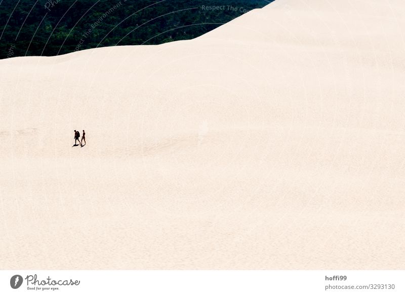 two people walking through the sand dune 'Dune du Pilat Tourism Trip Adventure Expedition Summer Sun Mountain Hiking Human being Partner 2 Sand