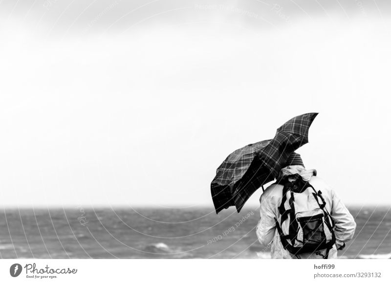 Man with deformed umbrella during heavy storm Leisure and hobbies Adventure Beach Ocean Hiking Human being Adults 1 Water Horizon Autumn Winter Climate change