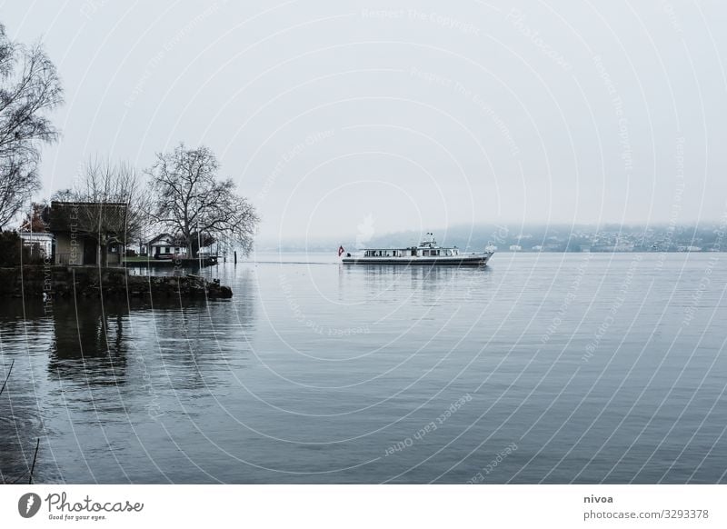 Ship on Lake Zurich Ferry passenger ferry Passenger traffic Navigation Boating trip Lake zurich Winter Fog Water be afloat Driving Tourist Watercraft Waves Sky