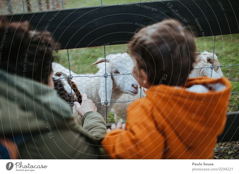 Mother and child watching goats Lifestyle Vacation & Travel Tourism Adventure Winter Human being Child Adults 2 1 - 3 years Toddler 18 - 30 years