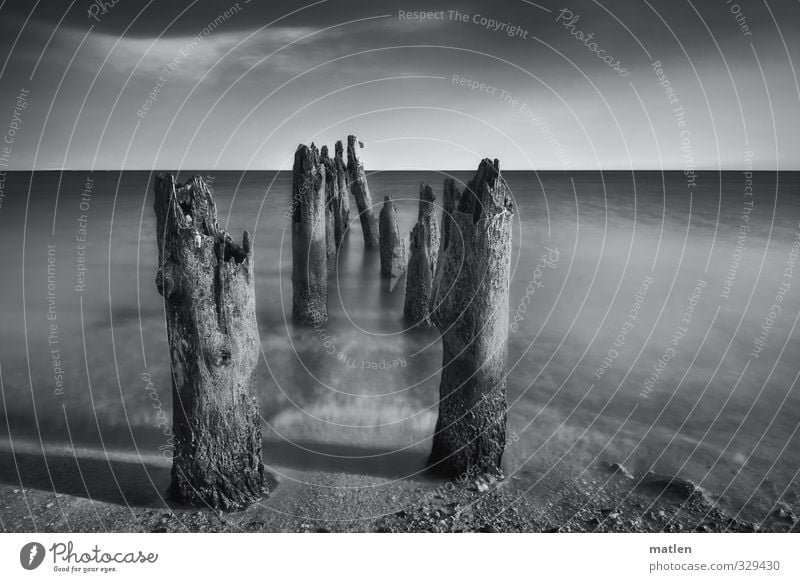 the last column Landscape Sand Water Sky Clouds Horizon Weather Beautiful weather Tree Coast Beach Ocean Black White breakwater Break water Black & white photo