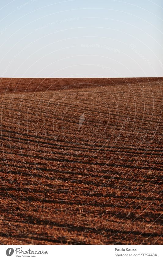 Plowed field Environment Nature Landscape Earth Autumn Winter Field Alentejo Esthetic Natural Original Wild Business Colour Horizon Climate Sustainability Calm