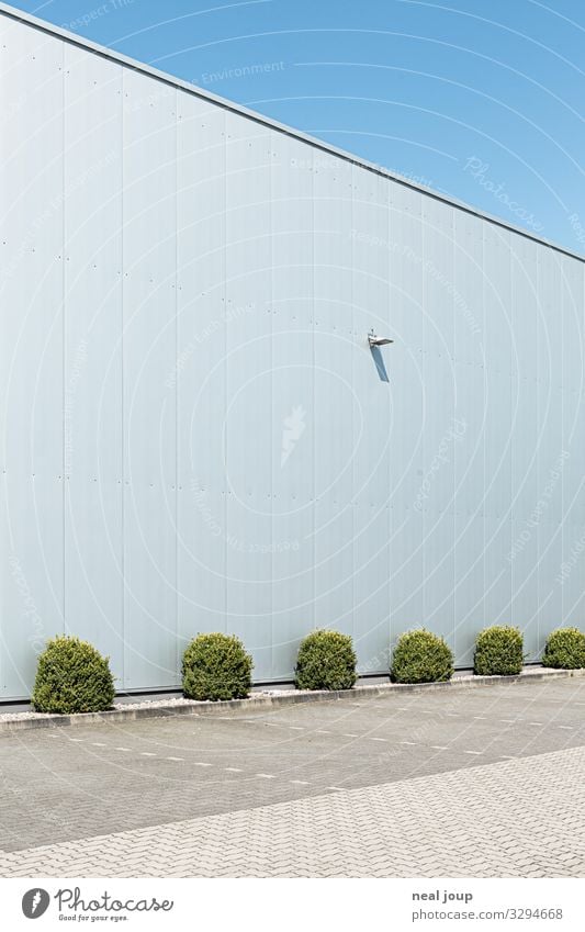 Room for ideas Garden Bushes Foliage plant Deserted Industrial plant Building Warehouse Wall (barrier) Wall (building) Facade Steel Blue Silver White Prompt