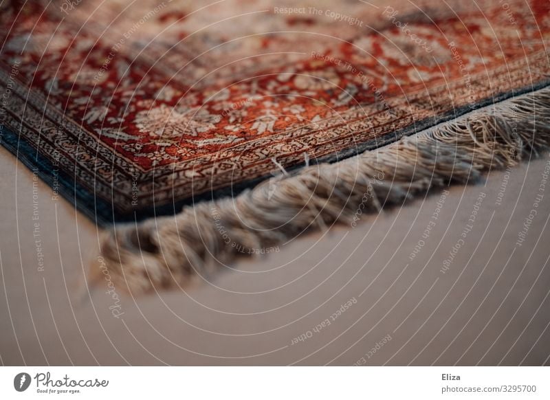 trip hazard Carpet Rug fringe Living or residing Cozy Floor covering Ground Pattern Ornament Ornamental Fringe Bordered rug Colour photo Interior shot Deserted