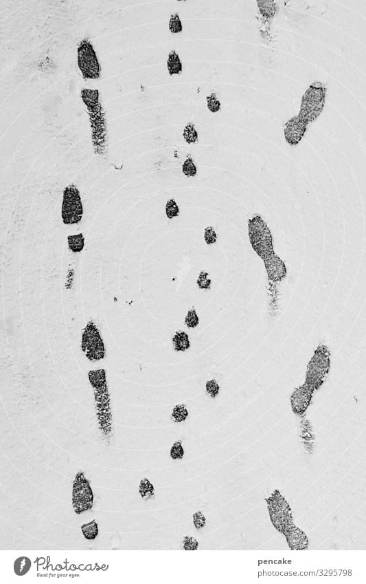 ice age | gassi go Nature Elements Winter Weather Ice Frost Snow Authentic Cold Footprint Dog Human being To go for a walk Lanes & trails Black & white photo