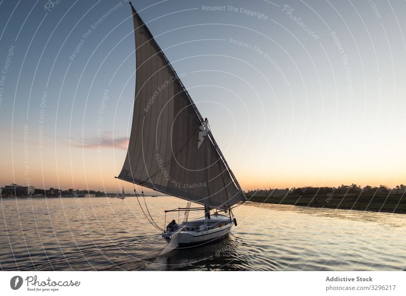 Traditional boat floating in rivet in sunset tourism yacht river travel water nature transport coast skyline scene blue day vacation transportation ship felucca