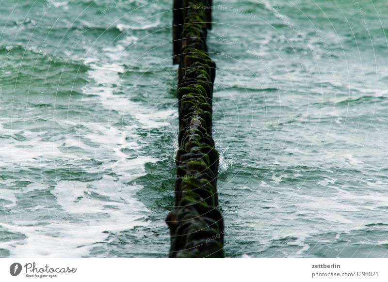 groynes Village Fishing village Island Coast Landscape Mecklenburg-Western Pomerania Ocean Baltic Sea Baltic island Rügen Vacation & Travel Off-Season Water