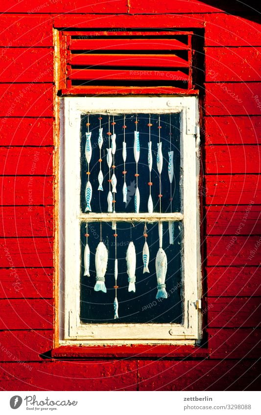 Fish in the window Village Fishing village Island Coast Mecklenburg-Western Pomerania Deserted Off-Season Baltic Sea East coast Baltic island Rügen Copy Space