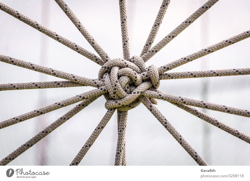 many ropes and one big knot close up Rope Tie Line Communicate Large Contact Attachment abstract background affiliation apposition cable combination compound