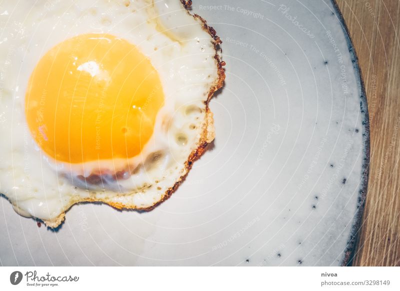 fried egg Food Egg Fried egg sunny-side up Nutrition Eating Breakfast Dinner Buffet Brunch Organic produce Diet Fasting Animal Farm animal Bird Barn fowl Plate