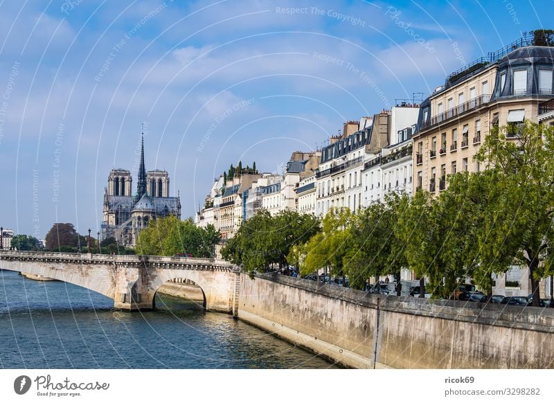 View over the Seine in Paris, France Vacation & Travel Tourism City trip Water Clouds Autumn Tree River Town Capital city Bridge Building Architecture