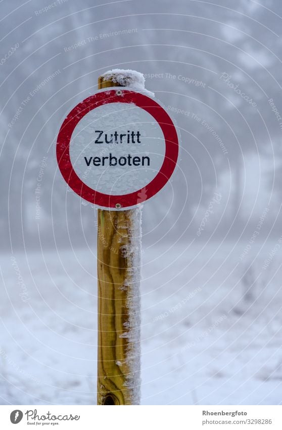 "No Entry" sign Village Deserted Street Lanes & trails Wood Metal Sign Signs and labeling Signage Warning sign Shield Walking Red White Unwavering Fear