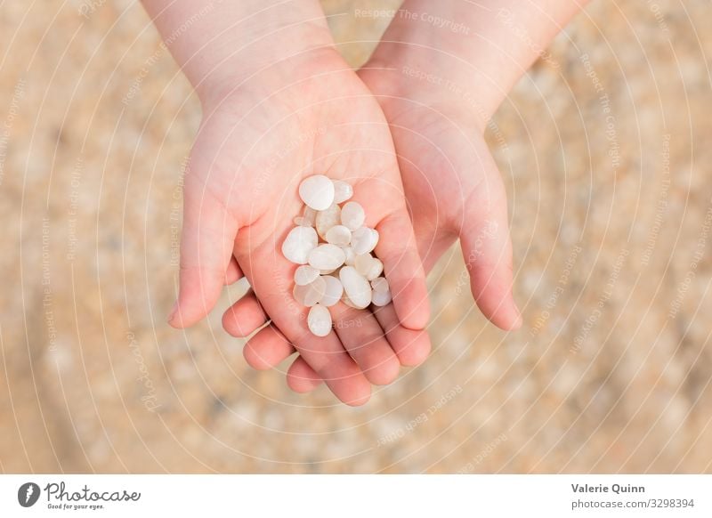 Cape May Diamonds Child Hand 1 Human being 3 - 8 years Infancy Beach Stone Sand Adventure Vacation & Travel Hold Coast cape may diamonds Colour photo