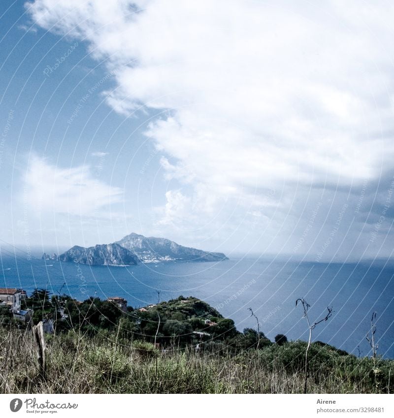 Ah, Italy! Capri Island Mediterranean Summer Summer vacation Ocean Coast Vacation & Travel Tourism Blue Day Deserted Far-off places Freedom Relaxation Sky