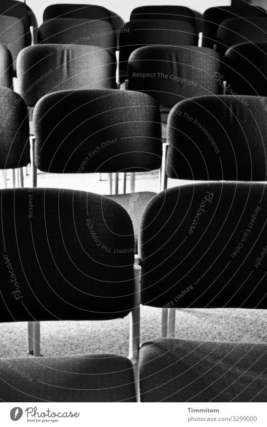 Chair rows Wait Simple Gray Black White Emotions Expectation Hall Seating capacity Carpet Event Black & white photo Interior shot Deserted Day Light Shadow