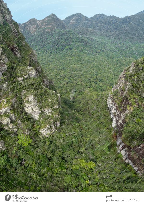 overgrown mountain scenery at Langkawi Mountain Nature Landscape Plant Tree Forest Virgin forest Hill Rock Wood Environmental protection Overgrown Malaya kedah