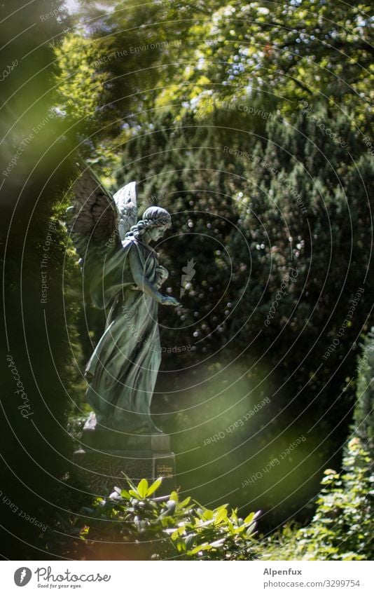 Angel Stalker Sculpture Plant Beautiful weather Garden Park Looking Stand Green Trust Goodness To console Patient Calm Belief Sadness Grief Death Discover