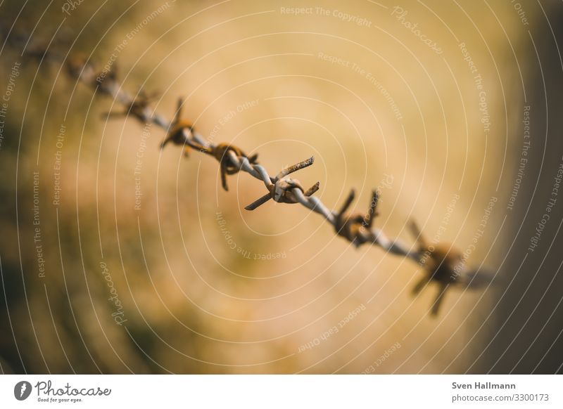 Fence Macro Close-up Deserted Winter Grating Exterior shot Metal Protection Detail Safety Cold Colour photo Blur Captured border protected area metal fence Grid