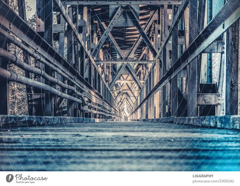 Old railway bridge. Austria Bridge Rail transport Railroad Steel Rust Movement Long Strong Perspire Track Train station Steel processing Wood Vacation & Travel