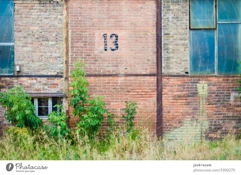 Thirteen GDR Pankow Commercial building Industrial zone Window Brick wall Metal Rust 13 Brown Secrecy Apocalyptic sentiment Center point Arrangement Symmetry