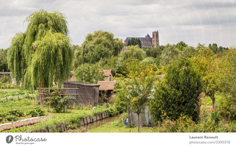 Bourges Cathedral view from the marshes Vacation & Travel Tourism Nature Church Monument Historic Religion and faith France Berries bourges centre-val Cher