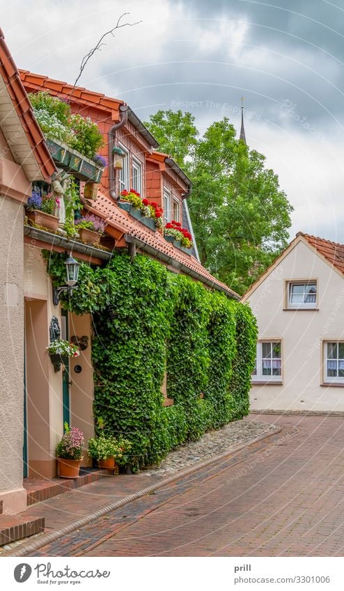 Jever in East Frisia House (Residential Structure) Culture Clouds Town Manmade structures Building Architecture Facade Street Lanes & trails Tradition